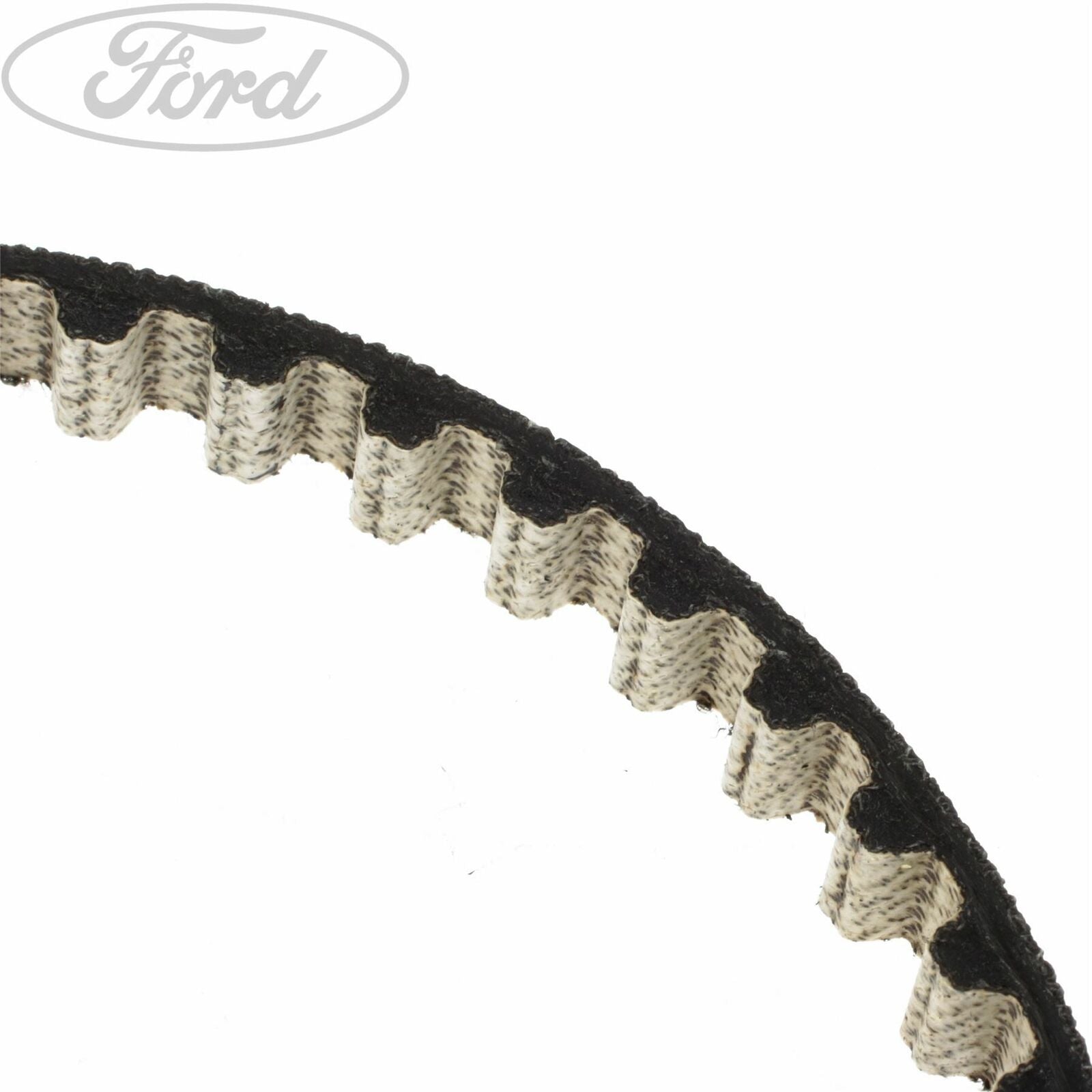 Genuine Ford Focus Fiesta Connect 1.0 EcoBoost Oil Pump Drive Belt - Wayside Performance 