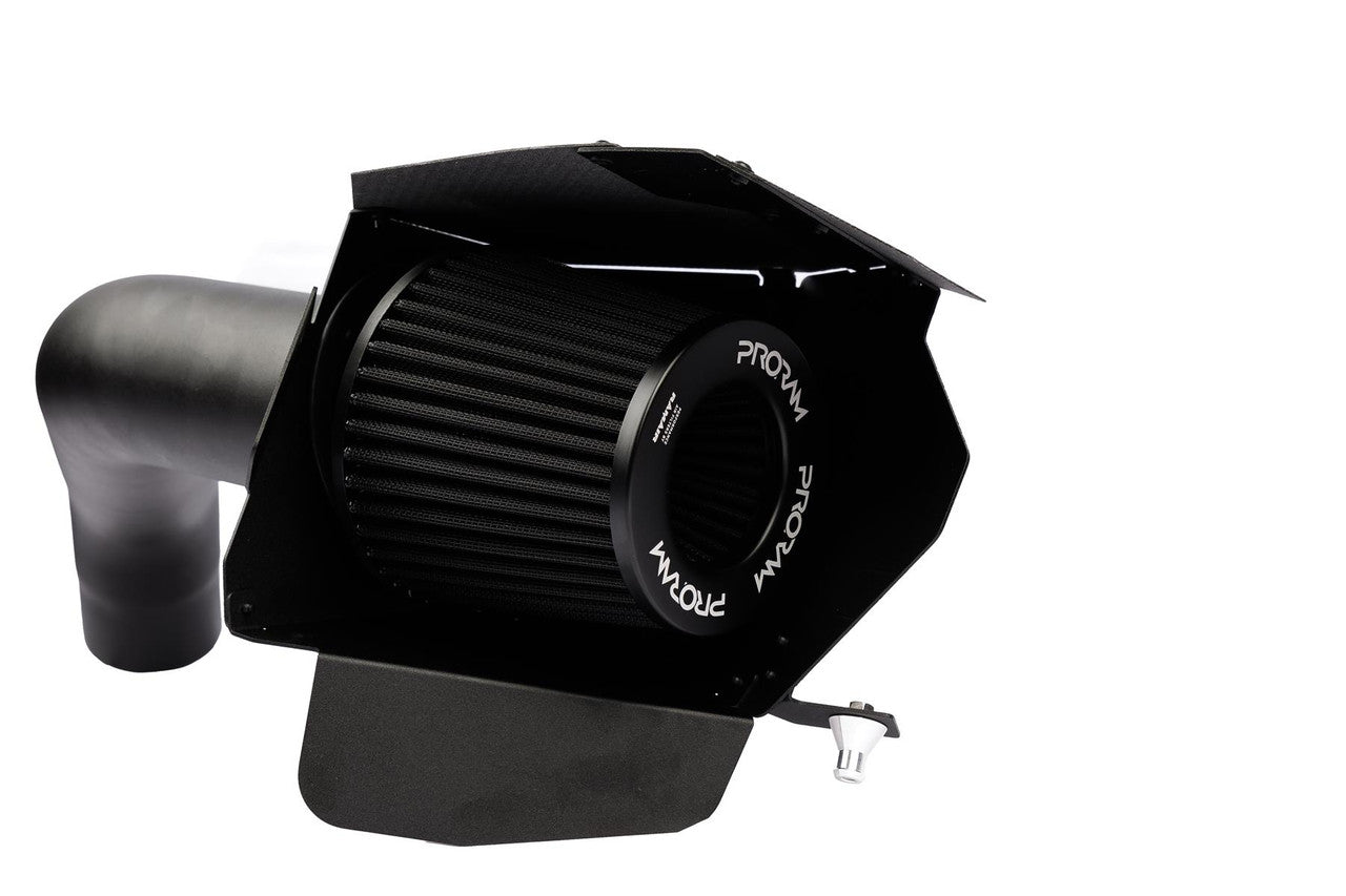 Ramair Performance Pleated Induction Kit With Carbon Lid to fit BMW 135i 235i M2 3.0T N55 - Wayside Performance 