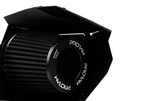 Ramair Performance Pleated Induction Kit With Carbon Lid to fit BMW 135i 235i M2 3.0T N55 - Wayside Performance 