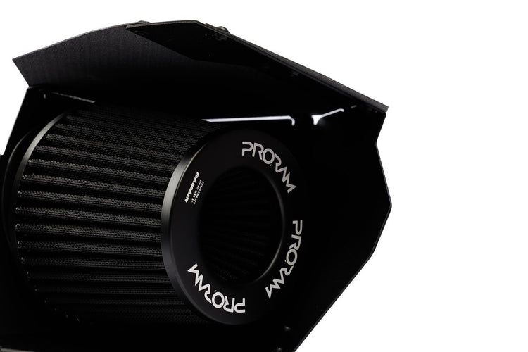 Ramair Performance Pleated Induction Kit With Carbon Lid to fit BMW 135i 235i M2 3.0T N55 - Wayside Performance 