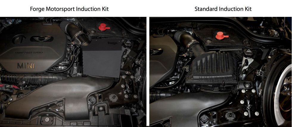 Forge Motorsport Induction Kit for BMW Mini Cooper F56 - Wayside Performance 