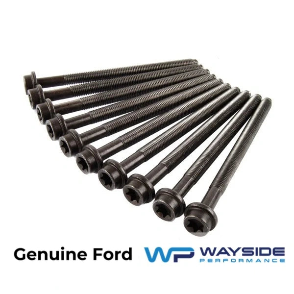 MK7 Ford Fiesta ST ST180 1.6 Ecoboost Genuine Ford Cylinder Head Bolts - Wayside Performance 
