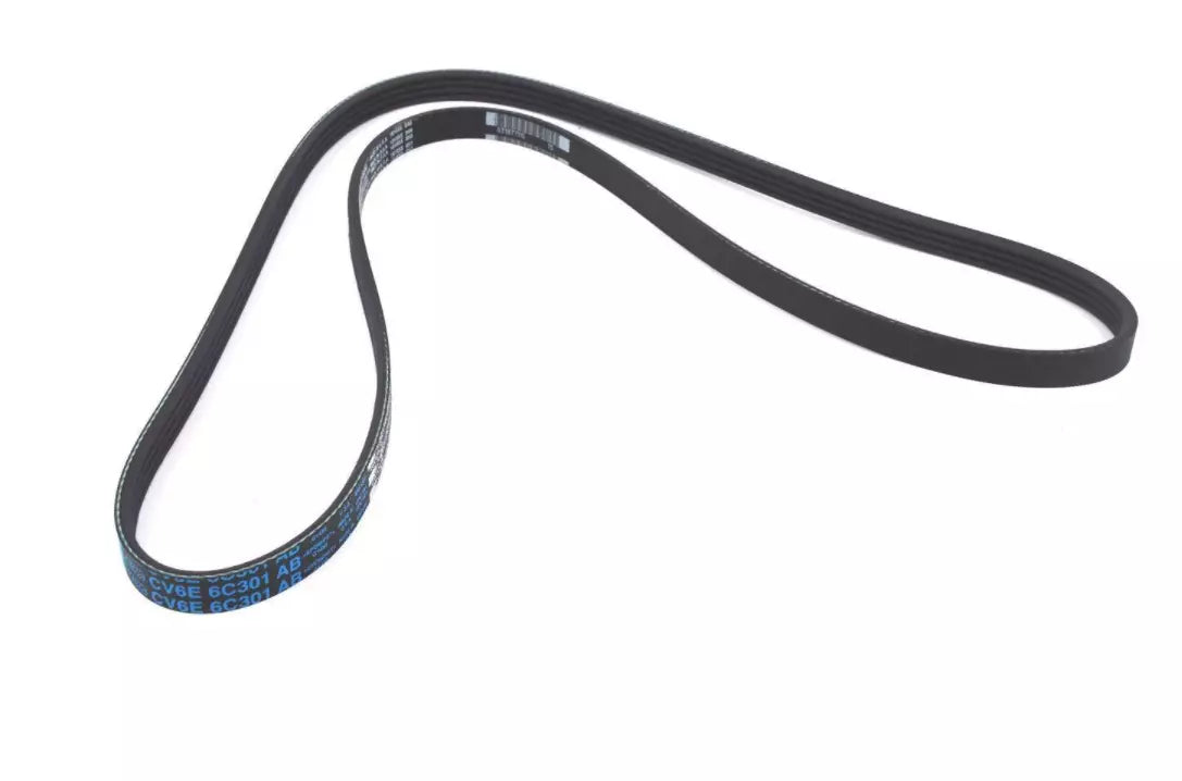 MK3 Focus RS Auxiliary Belt Pair Genuine Ford