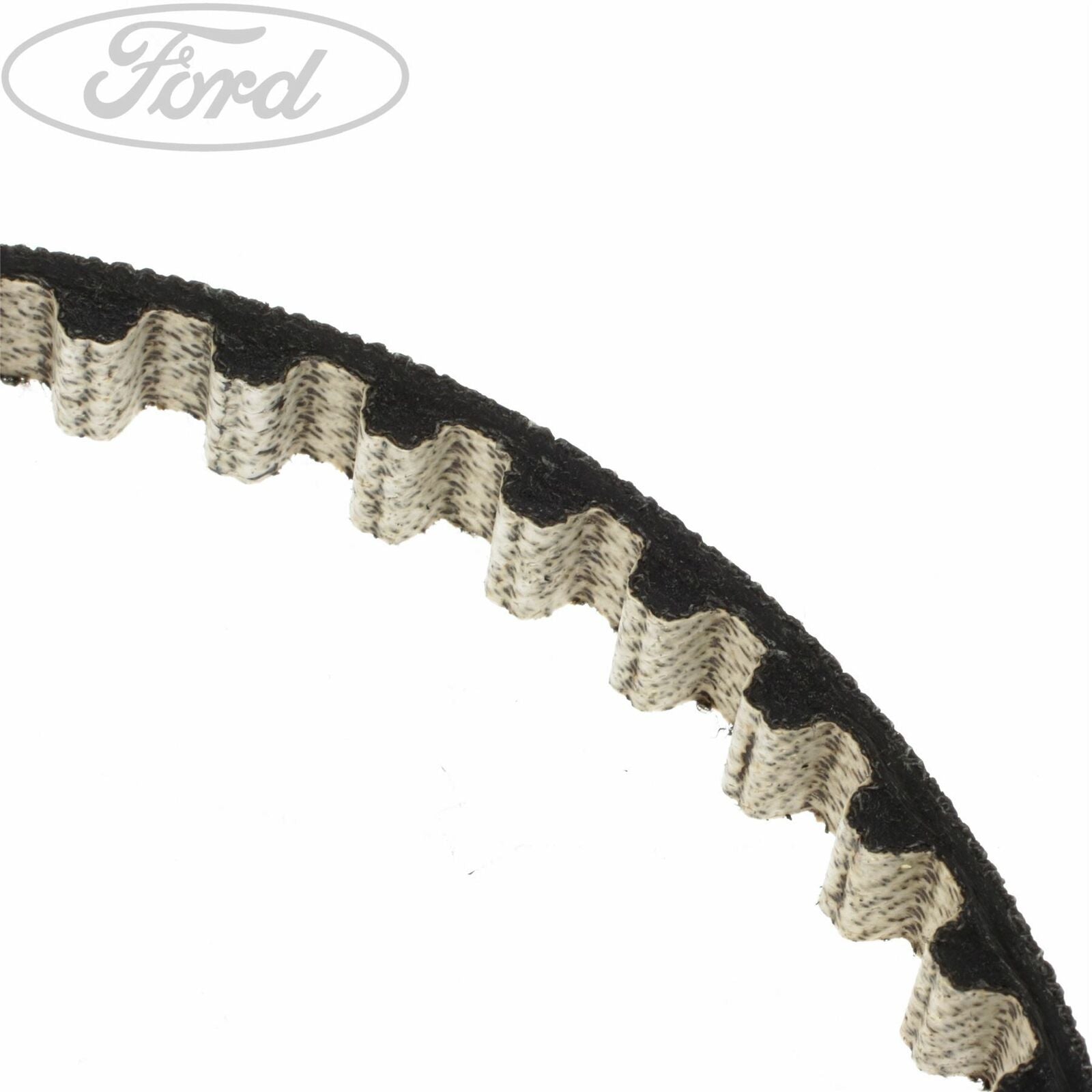 Genuine Ford Focus Fiesta Connect 1.0 EcoBoost Oil Pump Drive Belt
