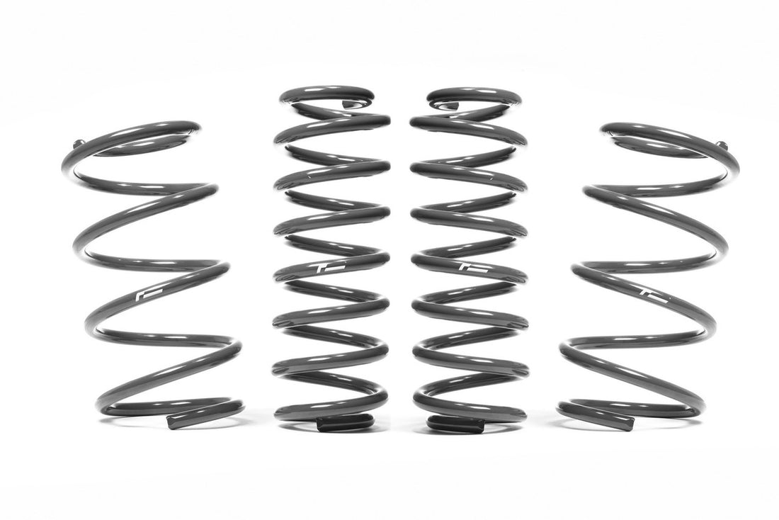 Racingline Sport Springs S3 8V