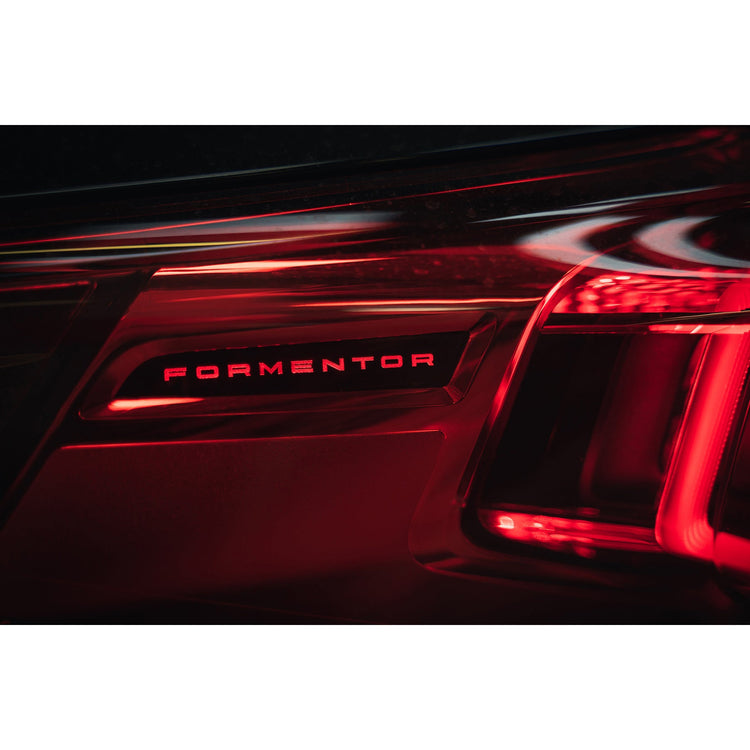 Cobra Sport Cupra Formentor 2.0 TSI GPF Back Performance Exhaust - Wayside Performance 